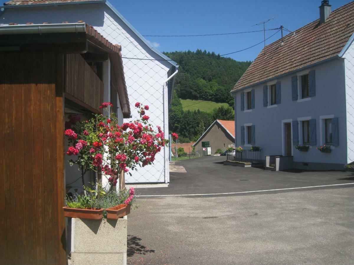Gite Au Pays Welche Lapoutroie Exterior foto